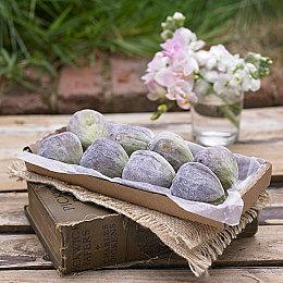 开发商Marvelous宣布举行线上直播游戏发布会 5月26日早6点